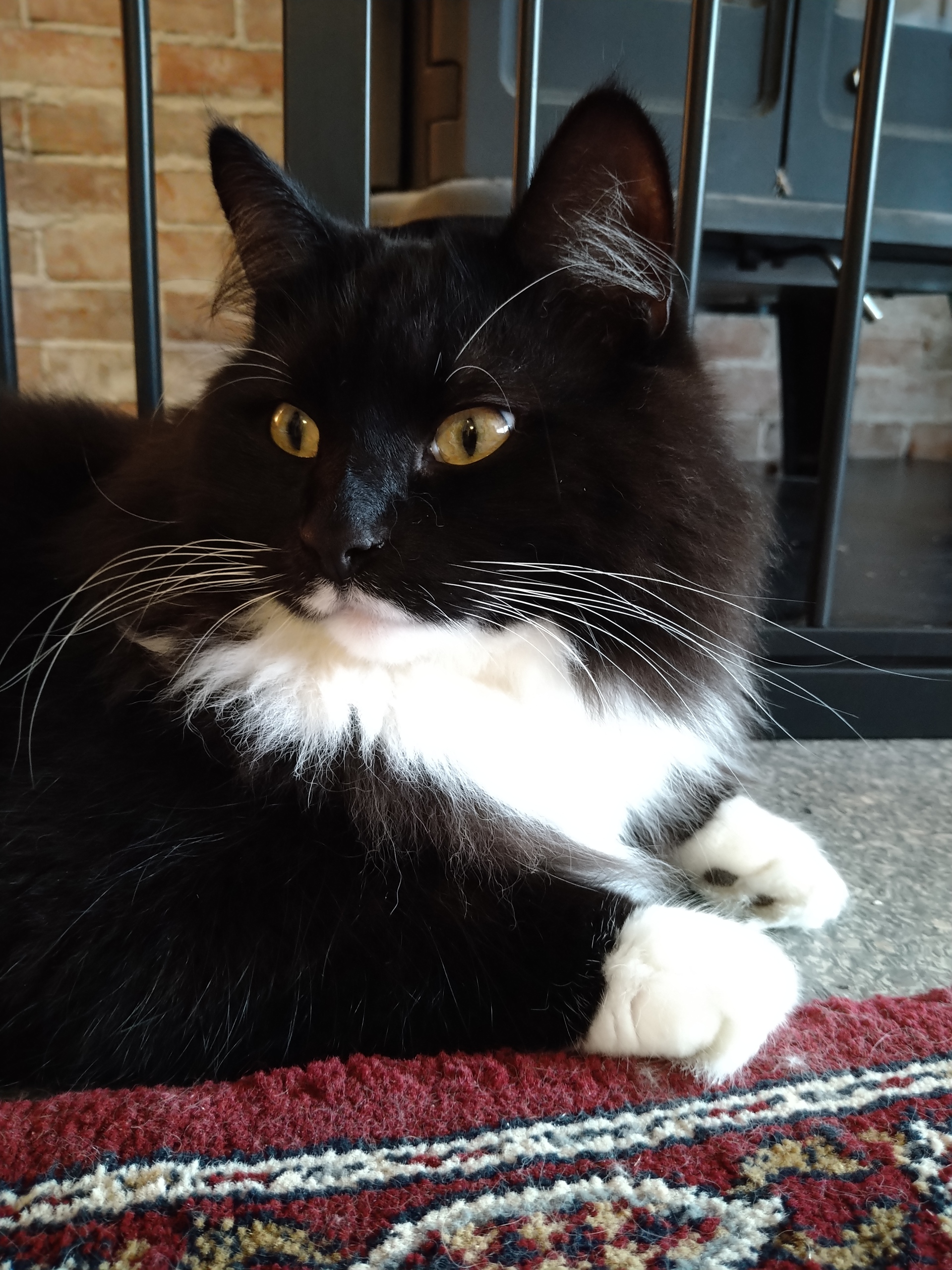 Cadbury TankeStationens Vd